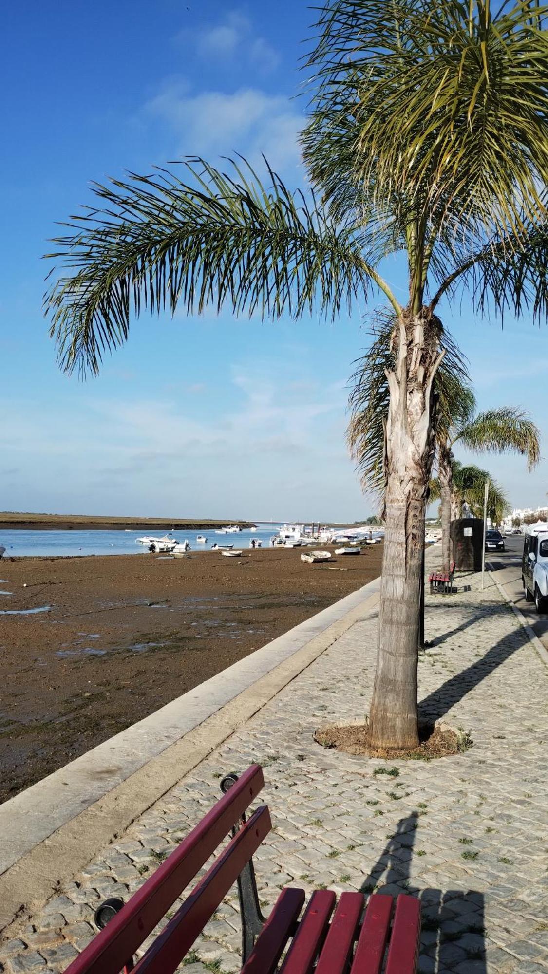 Casinha Secreta - A Gema Escondida Da Santa Luzia Apartment Santa Luzia  Luaran gambar